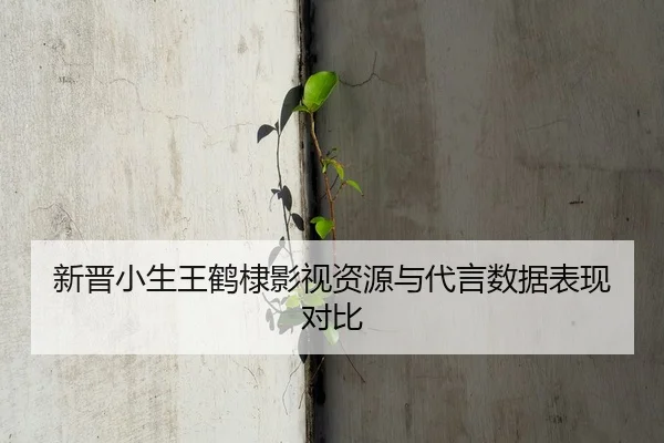 新晋小生王鹤棣影视资源与代言数据表现对比